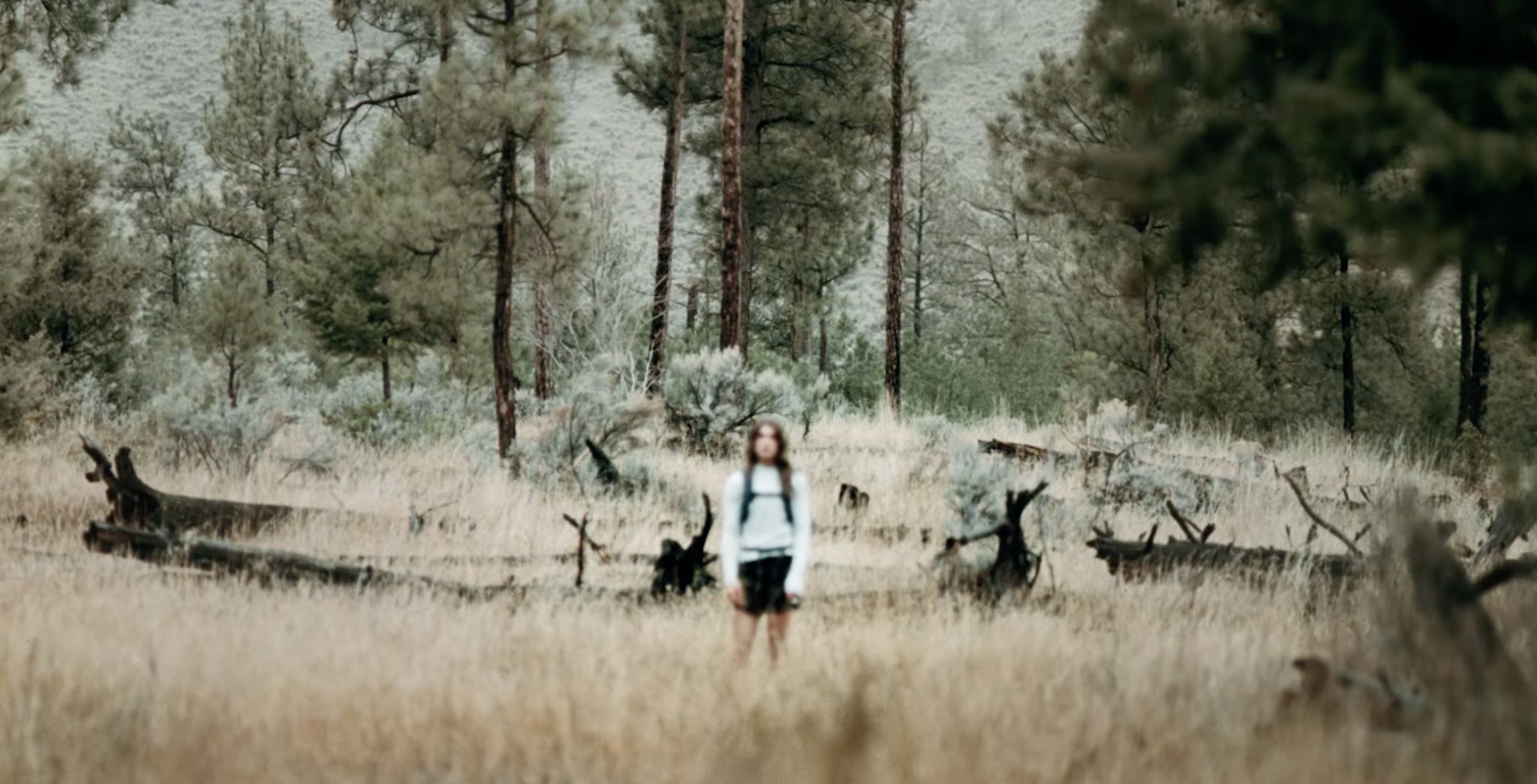 Never Just A Hike TNF — Collecting Horizons reference — Go Nature Shopping